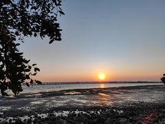 -宝安西湾红树林湿地公园