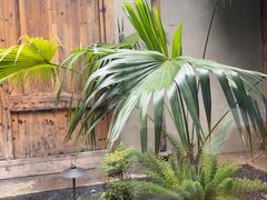 -院子餐厅·大锅菜·老杭帮(桥西直街店)