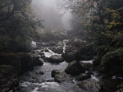 -龙苍沟森林公园