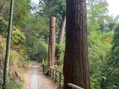 -东天目山风景区