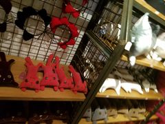 -猫咪博物馆(顶澳仔猫街店)