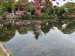 -无锡蠡湖国家湿地公园-蠡园