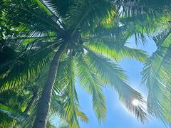 -海南分界洲岛旅游区