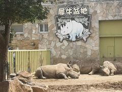 -无锡动物园·太湖欢乐园