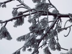 -洛阳白云山景区