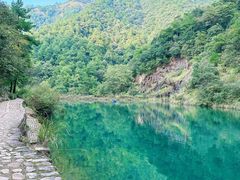 -大奇山国家森林公园
