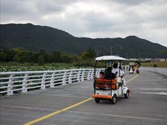 -东钱湖旅游度假区