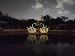-公园茶楼粤式点心