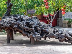 -大槐树寻根祭祖园