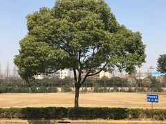 -上海市公安局交通警察总队车辆管理所三分所