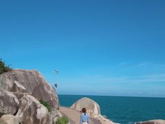 -广东惠东海龟国家级自然保护区