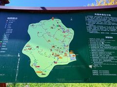 -北京凤凰岭