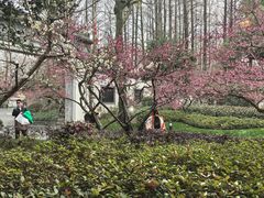 -杭州西湖柳莺里酒店·闻莺厅