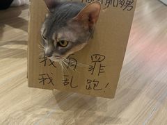 -NRG健身私教CLUB(打浦桥店)