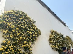 -青果巷历史文化街区
