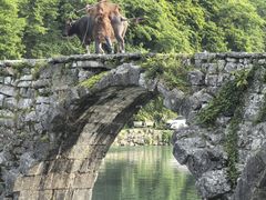 -上甘棠村
