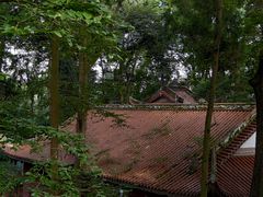 -都江堰普照寺