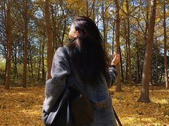 -昆山城市生态森林公园