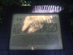 -呀诺达热带雨林