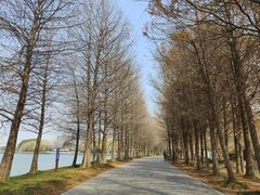 -石湖景区