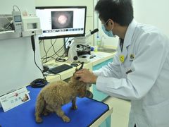 -康乐宝动物医院