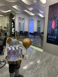 -FASHION PALACE hair+