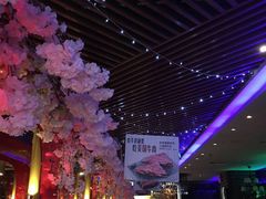 -杯子红牛排(西樵店)