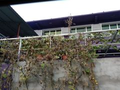 -百里峡七彩艺术小镇