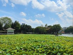 -荔湾湖公园