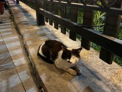 -京北渔家傲