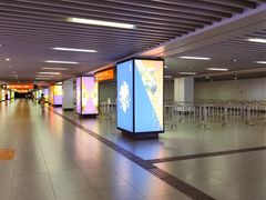 -东方体育中心(地铁站)