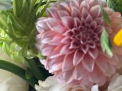 -花到家(富贵鸟花艺行)