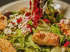 -Efes Turkish & Mediterranean Cuisine 艾菲斯餐厅(陆家嘴店)