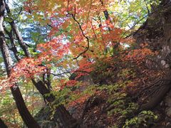-三块石国家森林公园
