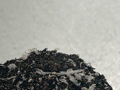 -West10 西拾·西餐厅·创意菜(未来科技城店)