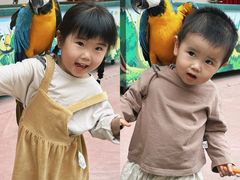 -合肥滨湖国家森林公园