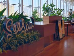 -Seesaw Coffee(朝阳大悦城店)