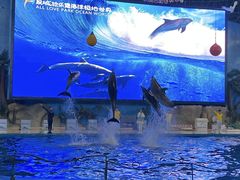 -泉城欧乐堡海洋极地世界