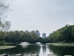 -滨湖塘西河公园