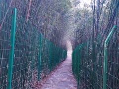 -四门塔风景区