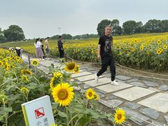 -苏州湾体育公园