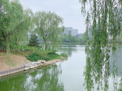 -大兴滨河森林公园