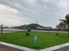 -野狸岛