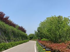 -羊山湖公园