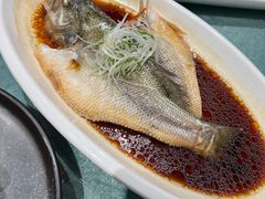 清蒸鲈鱼-红菜坊·烤鸭·川鲁宴(石园店)