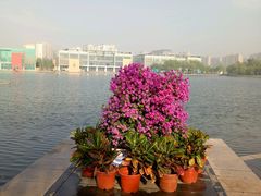 -廊坊文化艺术中心