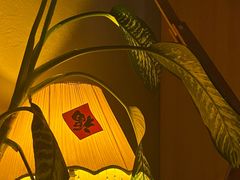 -鸡尾酒实验室酒吧(隆礼路店)