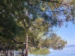 -洱海月湿地公园