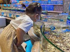 -青蓬蒸汽海鲜·深圳老字号·团建聚会(壹方城店)