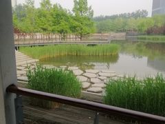 -大望京公园